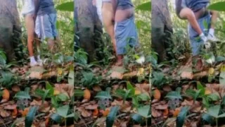 Mydesi2 net young school girl pussy fucking in public park outdoor sex mms